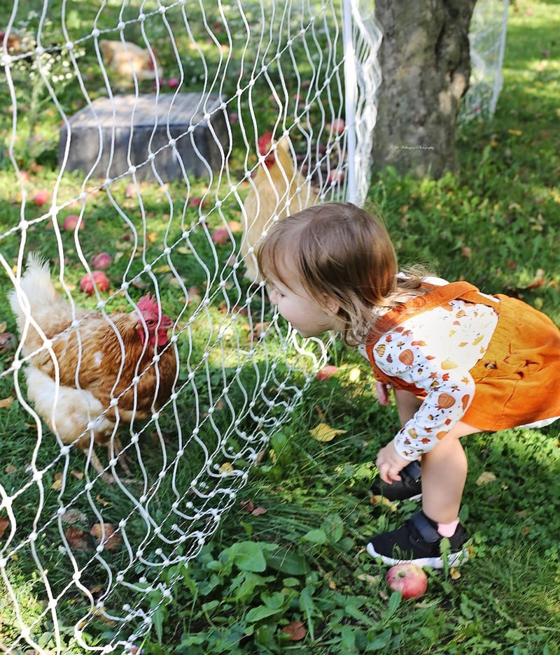 Farm Visits